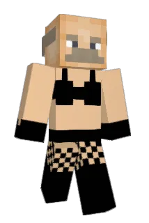 juliaot5 Minecraft avatar full body
