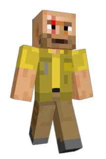 julijunas Minecraft avatar full body