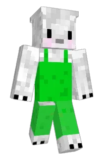 jun_0910 Minecraft avatar full body