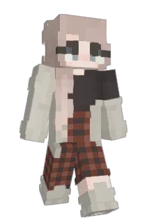 junchaebol Minecraft avatar full body