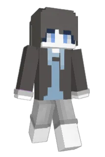 junge03 Minecraft avatar full body