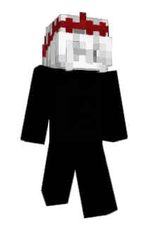 junkcel Minecraft avatar full body