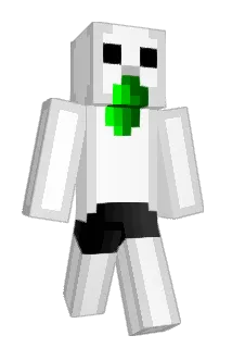 junkkcha Minecraft avatar full body