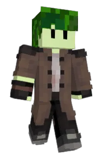 junkybott Minecraft avatar full body