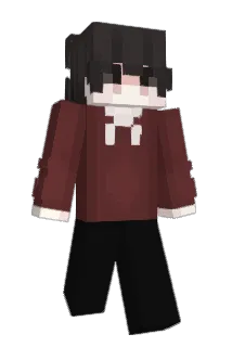 jupasonni Minecraft avatar full body
