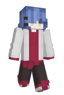 justaplatypus_ Minecraft avatar full body