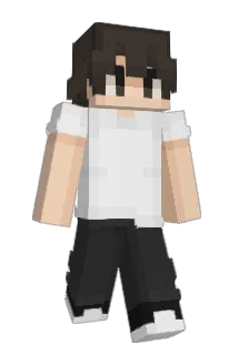 justinsanjp Minecraft avatar full body