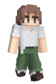 justregan Minecraft avatar full body