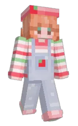 Custom render preview