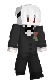 jw7651 Minecraft avatar full body