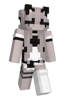 jxminn Minecraft avatar full body