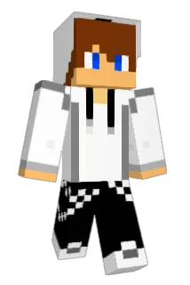 k013374909 Minecraft avatar full body