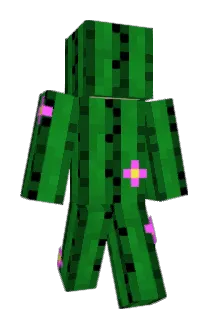 k1ngcole1 Minecraft avatar full body