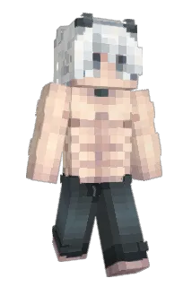 k22738393 Minecraft avatar full body