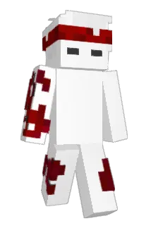 kN21_ Minecraft avatar full body