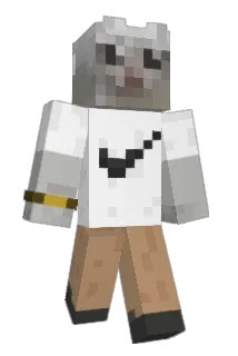 kaasbaas1 Minecraft avatar full body