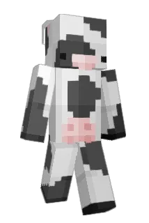 kaitwnn Minecraft avatar full body