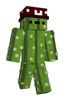 kangaroo3535 Minecraft avatar full body