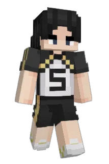 karaseirin Minecraft avatar full body