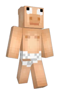 karl142 Minecraft avatar full body