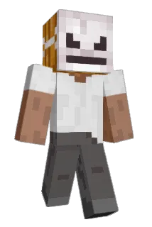 Minecraft-Avatar von karol64: ganzer Körper