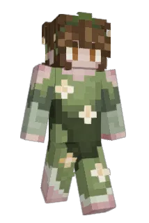 karottelotta Minecraft avatar full body