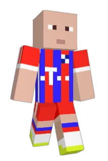 karpfen14 Minecraft avatar full body