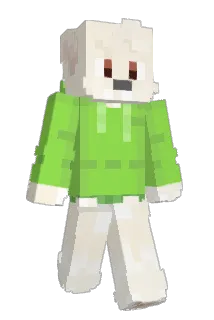 kashusb Minecraft avatar full body