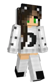 katt1107 Minecraft avatar full body