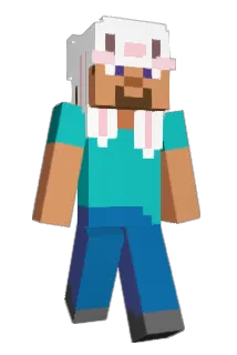 kattenitonndoke Minecraft avatar full body