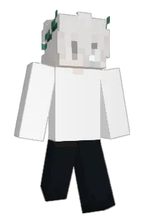 kawaiimann Minecraft avatar full body