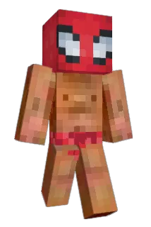 kaytrainn Minecraft avatar full body