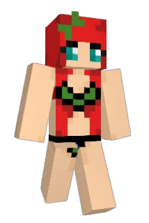 kbabes216 Minecraft avatar full body