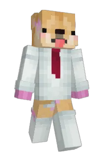 kdancuk63 Minecraft avatar full body