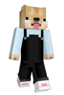kei141414 Minecraft avatar full body
