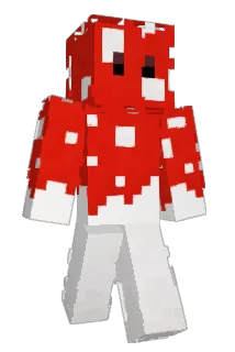 kellybb Minecraft avatar full body