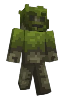 kermitzzz Minecraft avatar full body