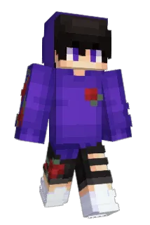 kevinhoinho Minecraft avatar full body
