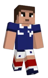 Custom render preview