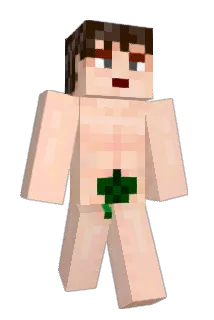 kiaracj Minecraft avatar full body