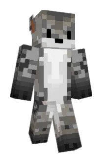 killzombies1987 Minecraft avatar full body