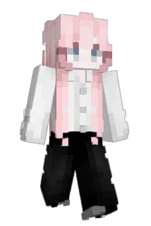 kimdogi Minecraft avatar full body