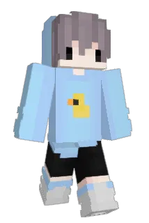 kimhyoreapig Minecraft avatar full body
