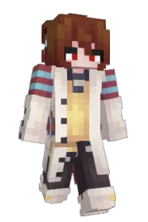 kimkubook Minecraft avatar full body