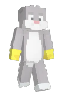 kimmiji63 Minecraft avatar full body