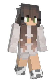 kimtastix Minecraft avatar full body
