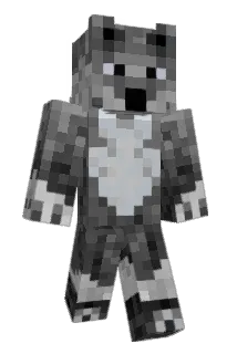king1455 Minecraft avatar full body