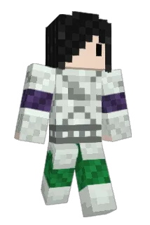 king_4207 Minecraft avatar full body