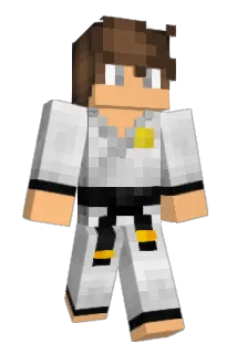 king_brus Minecraft avatar full body
