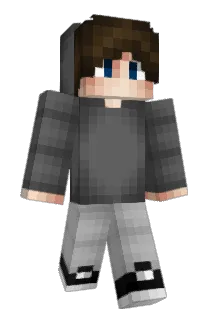 kippenbout Minecraft avatar full body